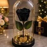 black rose gift Lahore in glass dome with warm fairy lights