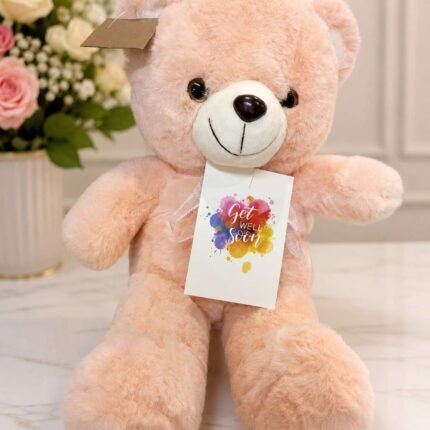 Teddy Bear Gift Lahore with Get Well Soon card