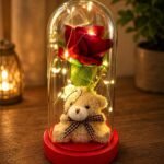Teddy Bear Gift Lahore with Red Rose and Fairy Lights