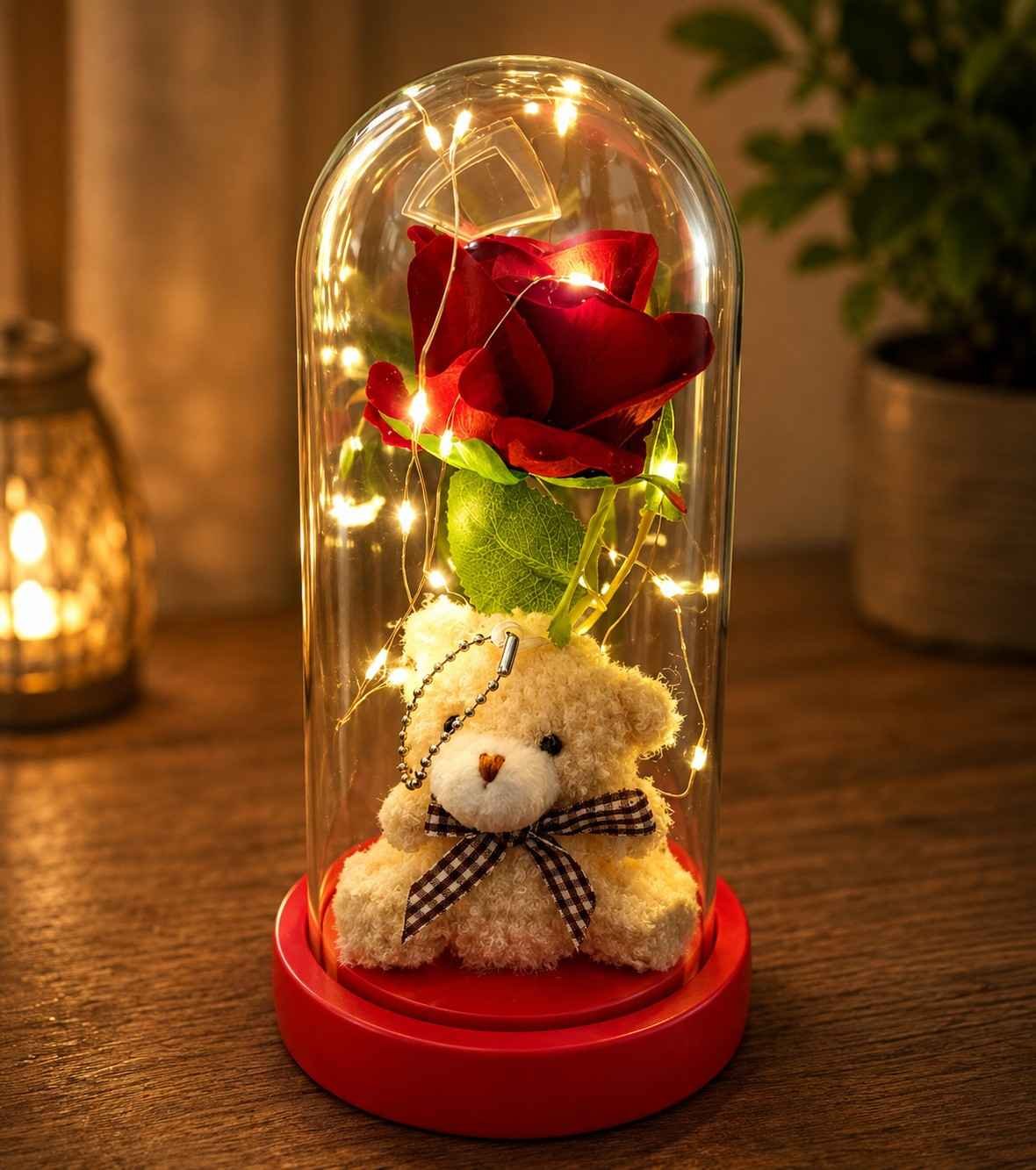 Teddy Bear Gift Lahore – Rose Cloche Teddy Bear Gift Lahore with Red Rose and Fairy Lights