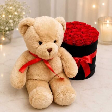Teddy Rose Gift Pakistan with a soft teddy bear and red rose box