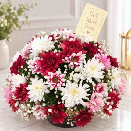 Get Well Soon Flowers Pakistan with pink and white chrysanthemums